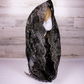 Black and Gold Infinity Chapel Veil/Mantilla